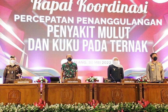 Jelang Idul Adha 2022, Gubernur Khofifah Pastikan Ketersediaan Hewan Kurban di Jatim Aman