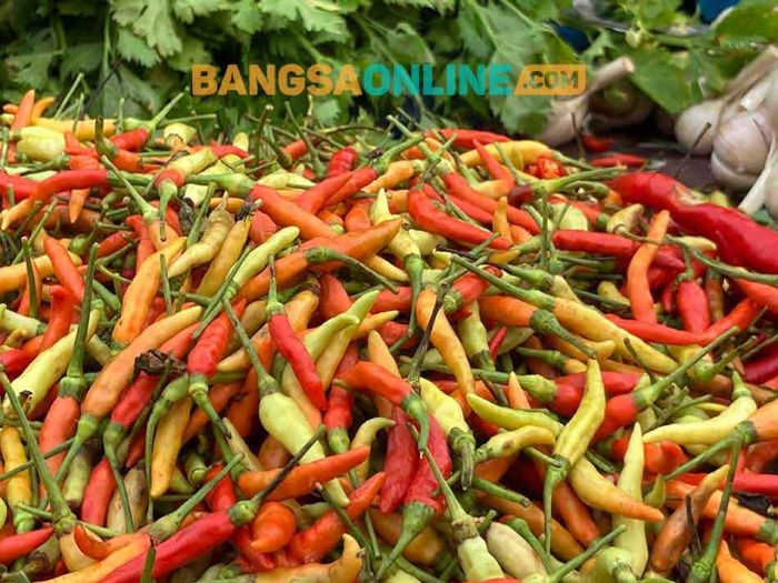 Harga Cabai Rawit Mulai Naik Lagi, Simak Update Sembako Jatim 3 Maret 2026