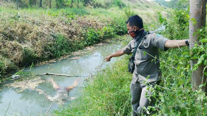 Mayat Lansia Mr X Ditemukan Mengapung di Sungai Jabon Sidoarjo Mayat Lansia Mr X Ditemukan Mengapung di Sungai Jabon Sidoarjo