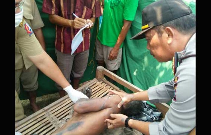 Warga Kanor Bojonegoro Tewas Tersengat Listrik Jebakan Tikus di Sawahnya Sendiri Warga Kanor Bojonegoro Tewas Tersengat Listrik Jebakan Tikus di Sawahnya Sendiri