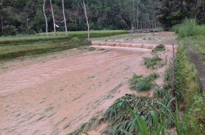 Puluhan Hektar Lahan Pertanian Disapu Air Bah, Jalur Nawangan-Purwantoro tertutup Longsor