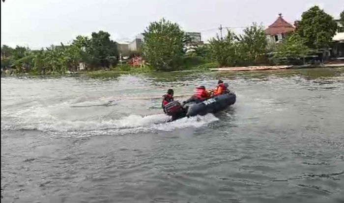 Hari ke-2 Pencarian Balita Tenggelam di Sungai Rolak Surabaya, Petugas Sisir Area Eceng Gondok Hari ke-2 Pencarian Balita Tenggelam di Sungai Rolak Surabaya, Petugas Sisir Area Eceng Gondok