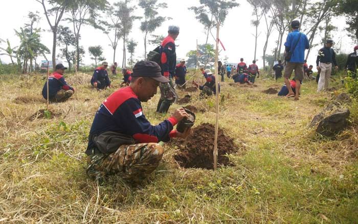 Antisipasi Kekeringan, Pemuda Pintrang Gandeng DLH Pasuruan Tanam 2.500 Bibit Sukun