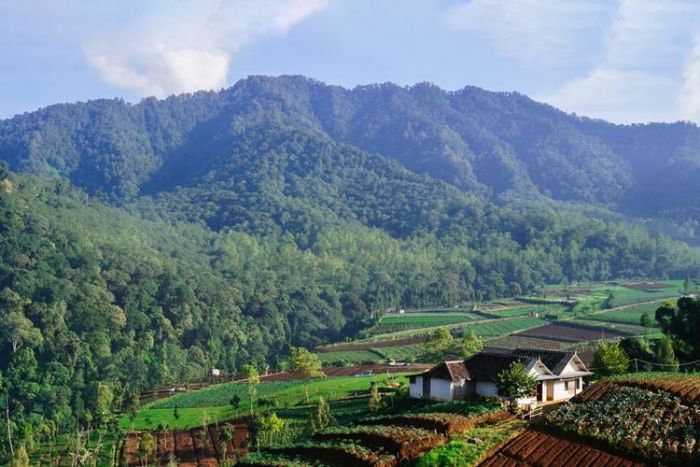 Wisata Alam, Budaya, dan Edukasi di Desa Ketapanrame Mojokerto, Cocok Jadi Tempat Berlibur