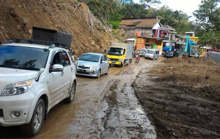 Material Longsor Dibersihkan, Jalur Trenggalek-Ponorogo Kembali Lancar Material Longsor Dibersihkan, Jalur Trenggalek-Ponorogo Kembali Lancar