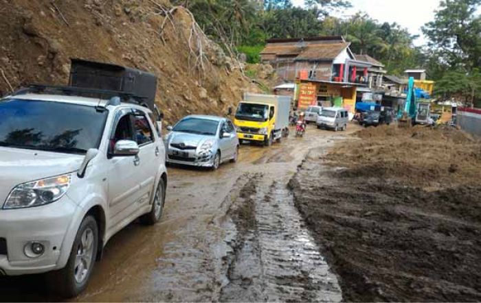 Material Longsor Dibersihkan, Jalur Trenggalek-Ponorogo Kembali Lancar