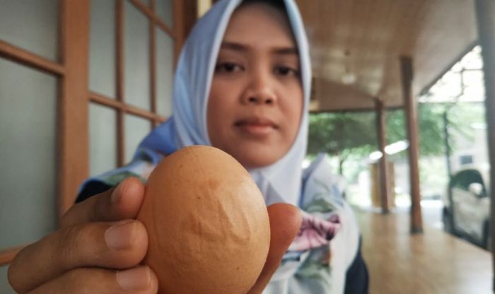 Peternak Ayam di Blitar Temukan Cangkang Telur Berlafaz Allah, Produktivitas Ternaknya Meningkat