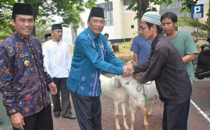 Pemkab Gresik Siapkan 125 Ekor Hewan Kurban Pemkab Gresik Siapkan 125 Ekor Hewan Kurban