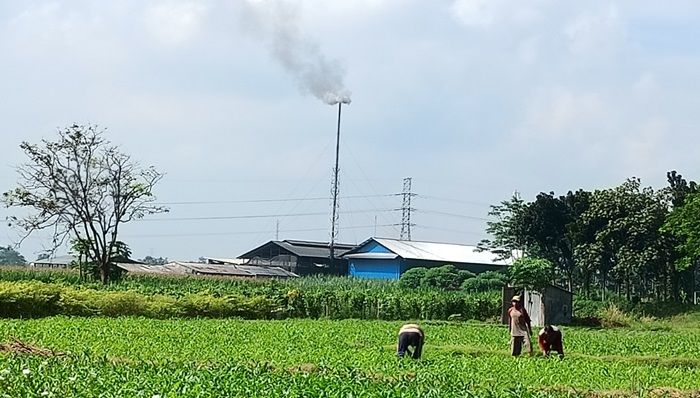 Pusing Hingga Sinusitis, Keluhan Kesehatan Warga Ngantup Kediri Dampak Limbah PT KTS Pusing Hingga Sinusitis, Keluhan Kesehatan Warga Ngantup Kediri Dampak Limbah PT KTS