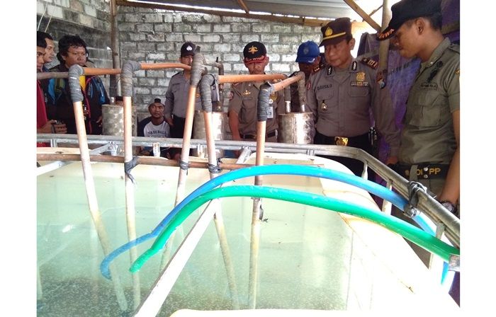 Nekat Produksi Arak Lagi, Warga Semanding Tuban Ditangkap ke-2 Kalinya Nekat Produksi Arak Lagi, Warga Semanding Tuban Ditangkap ke-2 Kalinya