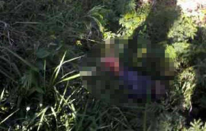Sedang Menggembala Kambing, Pria Paruh Baya di Kediri Disambar Rapih Dhoho Sedang Menggembala Kambing, Pria Paruh Baya di Kediri Disambar Rapih Dhoho