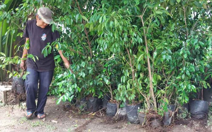 Lagi, Cagar Alam Alas Simpenan akan Direvitalisasi ARPL Kediri Lagi, Cagar Alam Alas Simpenan akan Direvitalisasi ARPL Kediri