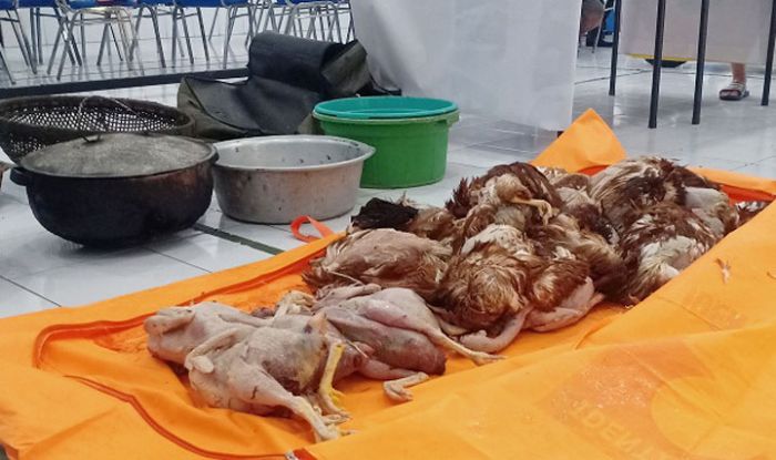 Ini Bahaya Penyakit Konsumsi Ayam Tiren