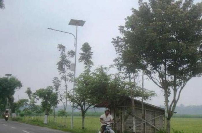 Puluhan Lampu PJU di Jalur Pacitan-Ponorogo Mati Tak Bisa Berfungsi Puluhan Lampu PJU di Jalur Pacitan-Ponorogo Mati Tak Bisa Berfungsi