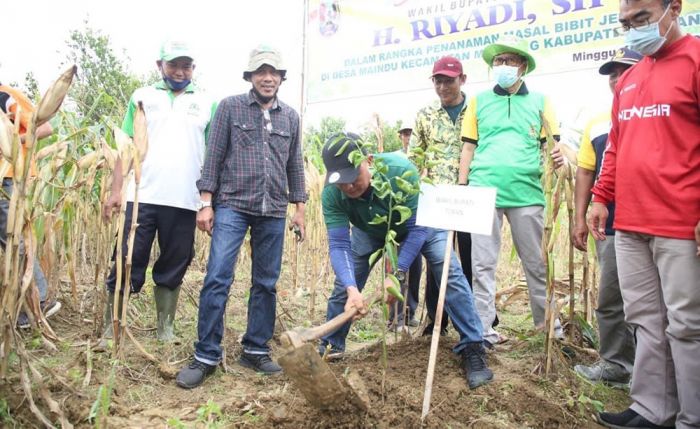 Olah Hasil Pertanian Jadi Produk Bernilai Jual Tinggi, Pemkab Tuban Gagas One Village One Product