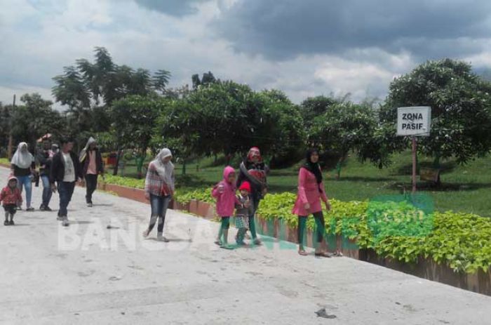 Bukit Teletubies Randegan Mendadak Ngehits, Jadi Perbincangan di Sosmed Bukit Teletubies Randegan Mendadak Ngehits, Jadi Perbincangan di Sosmed