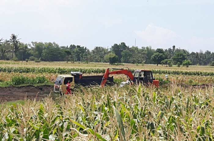 Tambang Pasir di Lahan Produktif Desa Tenggir Situbondo Mulai Beraktivitas