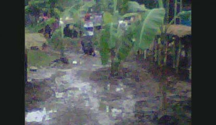 Rusak Parah, Warga Sukomoro Nganjuk Demo Tanam Pohon Pisang di Jalan Rusak Parah, Warga Sukomoro Nganjuk Demo Tanam Pohon Pisang di Jalan