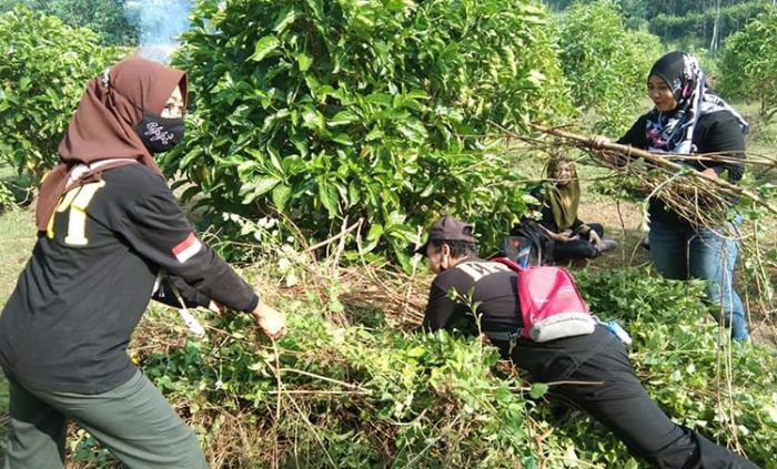 Libatkan Emak-Emak, Laskar Semut Gunung Kompak Bersihkan Gulma di Kebun Bibit Mranggen Kediri