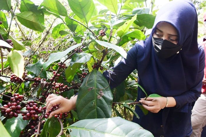 Terobos Hutan Jembul, Bupati Ikfina Lirik Potensi Air Terjun Coban Kabejan di Kaki Gunung Welirang