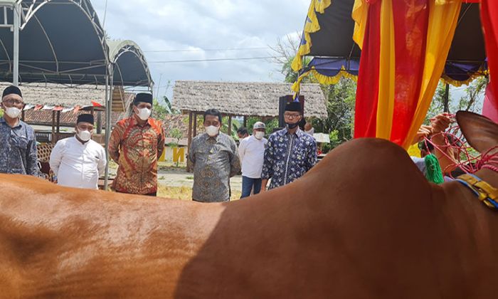Hadiri Peluncuran Pusat Riset Sapi Madura, Muhammad Ali Ridha Minta Pertahankan Kearifan Lokal Hadiri Peluncuran Pusat Riset Sapi Madura, Muhammad Ali Ridha Minta Pertahankan Kearifan Lokal