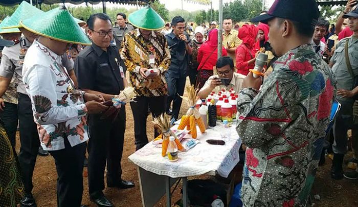 ​Bank Indonesia Siap Support Madura Jadi Lumbung Jagung Nasional