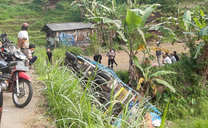 Sopir Perempuan dan Diduga Kurang Kuasai Medan, Truk Muat Pakan Ayam Terjungkal di Desa Sajen