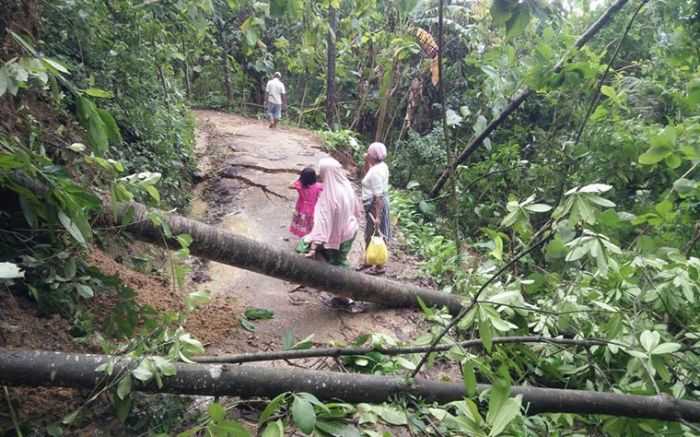 Musim Pancaroba, Masyarakat Diminta Waspada Cuaca Ekstrem dan Dampaknya Musim Pancaroba, Masyarakat Diminta Waspada Cuaca Ekstrem dan Dampaknya
