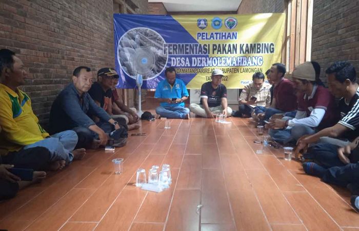 Pemerintah Desa Dermolemahbang Lamongan Gelar Pelatihan Pembuatan Pakan Ternak Pemerintah Desa Dermolemahbang Lamongan Gelar Pelatihan Pembuatan Pakan Ternak