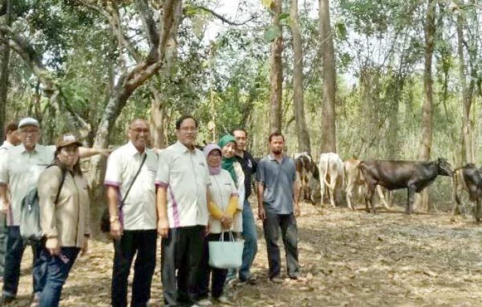Kunjungan ke Grati, Unair Beri Pelayanan Keswan ke Masyarakat secara Gratis Kunjungan ke Grati, Unair Beri Pelayanan Keswan ke Masyarakat secara Gratis