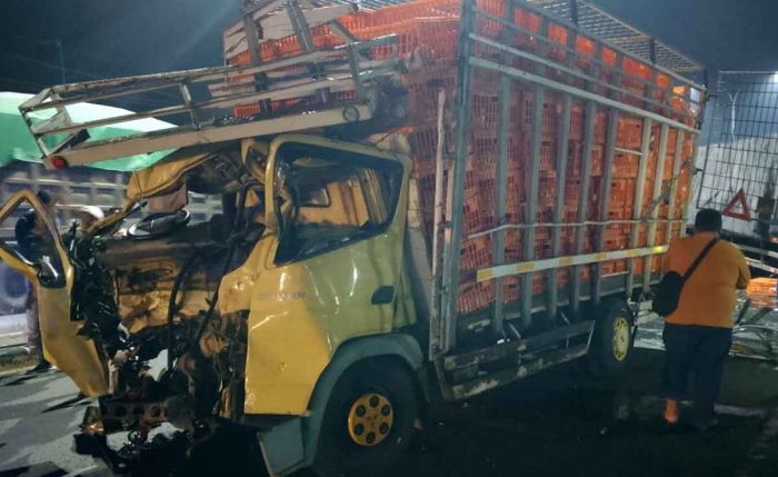 Diduga Mengantuk, Truk Ayam Tabrak Tronton di Jombang Diduga Mengantuk, Truk Ayam Tabrak Tronton di Jombang