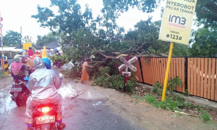 Ini 11 Kecamatan di Bojonegoro yang Terdampak Angin Kencang Ini 11 Kecamatan di Bojonegoro yang Terdampak Angin Kencang