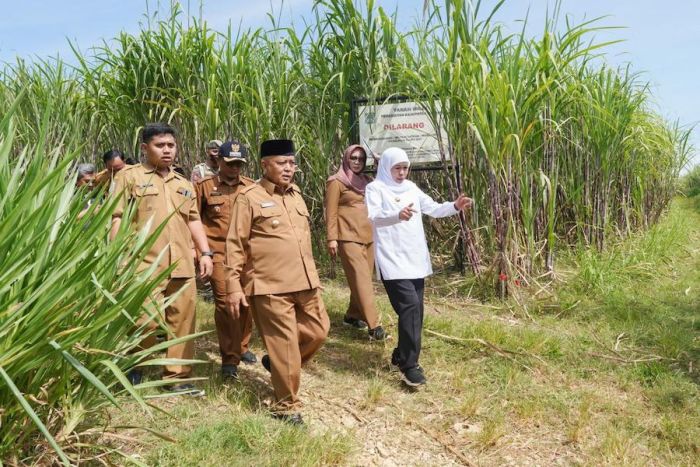 Didampingi Bupati Sanusi, Gubernur Jatim Tinjau Calon Lokasi Sekolah Rakyat di Kabupaten Malang Didampingi Bupati Sanusi, Gubernur Jatim Tinjau Calon Lokasi Sekolah Rakyat di Kabupaten Malang