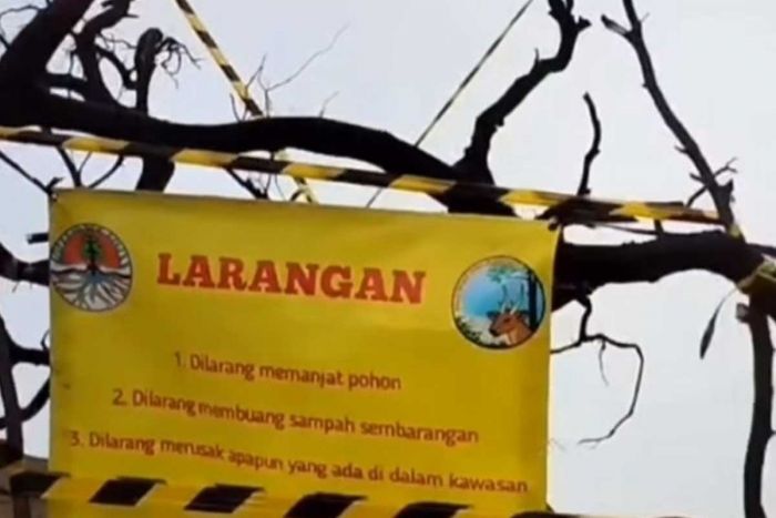 Usai Makan Korban Jiwa WNA China, Spot Foto Kawah Ijen Banyuwangi Ditutup Usai Makan Korban Jiwa WNA China, Spot Foto Kawah Ijen Banyuwangi Ditutup