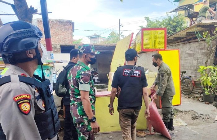 Informasi Penggerebekan Bocor, Polisi Tak Temukan Penjudi Merpati, Hanya Amankan Dua Burung Informasi Penggerebekan Bocor, Polisi Tak Temukan Penjudi Merpati, Hanya Amankan Dua Burung