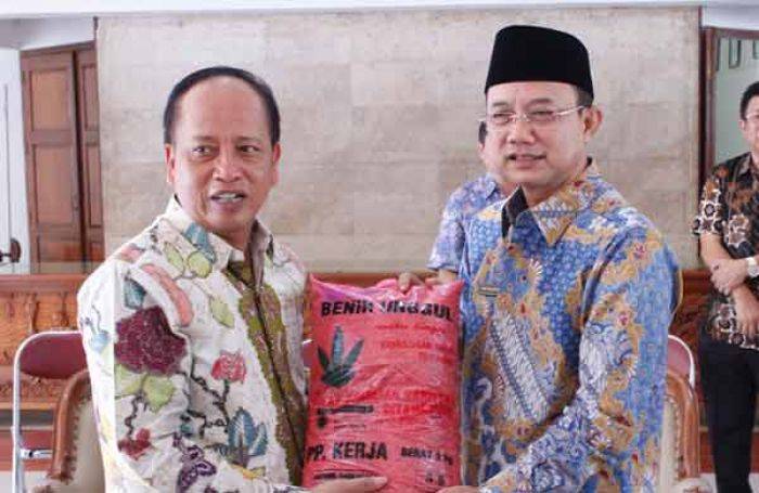 Jelang Kedatangan Menristekdikti, Kadistan Ngawi terkesan Jelang Kedatangan Menristekdikti, Kadistan Ngawi terkesan