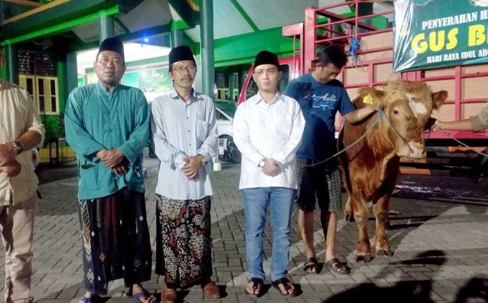 Malam Takbiran Idul Adha 2024, Gus Barra Salurkan Ratusan Hewan Kurban