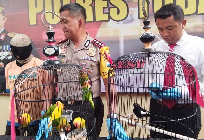 Tidak Kapok Dua Kali Masuk Bui, Residivis Spesialis Pencuri Burung asal Jatirogo Ulangi Perbuatannya