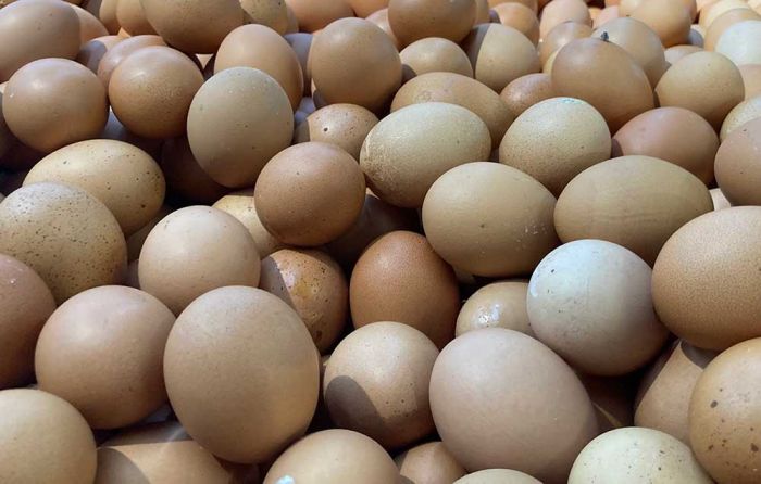 Update Harga Sembako Jatim Hari ini 15 Januari 2025, Telur Ayam Kampung Turun Rp5 Ribu per Kg Update Harga Sembako Jatim Hari ini 15 Januari 2025, Telur Ayam Kampung Turun Rp5 Ribu per Kg
