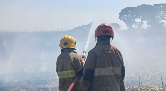 Kebakaran Ladang Tebu di Kediri, Kerugian Capai Rp100 Juta