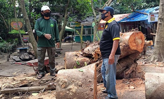 "Bangun Wisata Desa dengan Mengorbankan Lingkungan adalah Sebuah Pelanggaran Berat" "Bangun Wisata Desa dengan Mengorbankan Lingkungan adalah Sebuah Pelanggaran Berat"