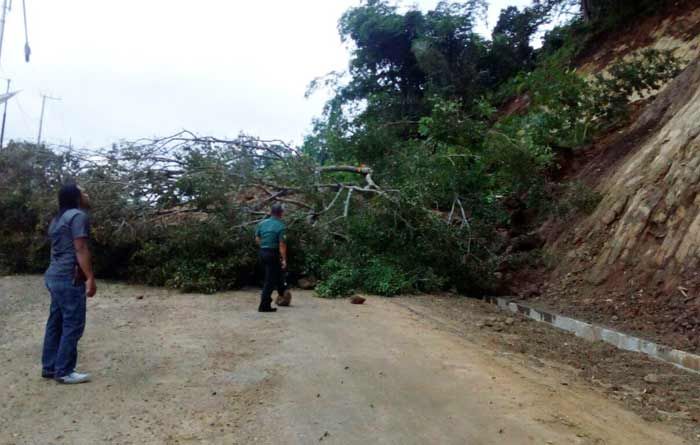 Km 228 Jalan Gemaharjo Pacitan Kembali Tertimbun Longsor