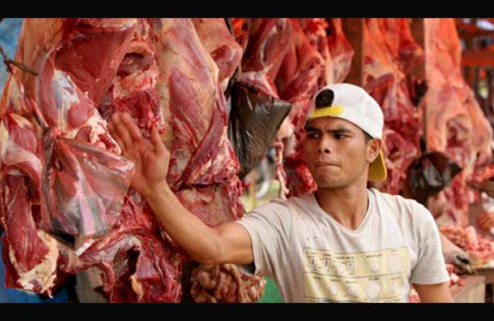 Mustahil Turunkan Harga Daging Sapi Jadi Rp 80 Ribu per Kg Mustahil Turunkan Harga Daging Sapi Jadi Rp 80 Ribu per Kg