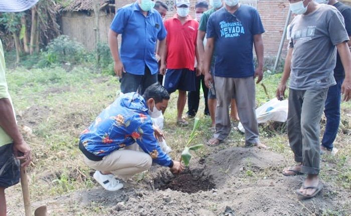 HUT ke-76 RI, Deni Prasetya Kampanyekan Budi Daya Pisang Cavendish ke Warga Jember