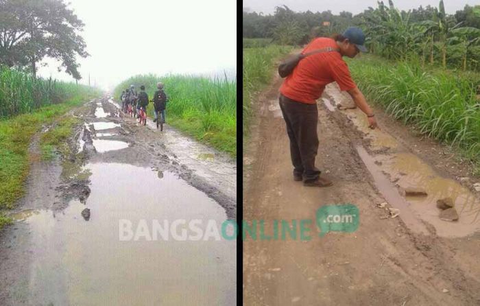 Dugaan Penyelewengan DD di Sumbernongko Jombang, Penegak Hukum Didesak Usut