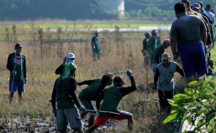 25.000 Tikus Mati di Tangan Petani, Disperta Bojonegoro Sebut Sukses 25.000 Tikus Mati di Tangan Petani, Disperta Bojonegoro Sebut Sukses