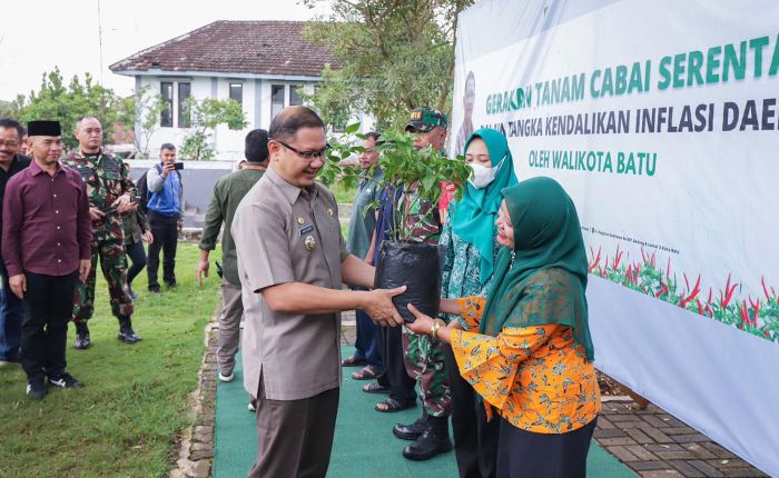 Kendalikan Inflasi, Pemkot Batu Tanam 5.000 Bibit Cabai Kendalikan Inflasi, Pemkot Batu Tanam 5.000 Bibit Cabai