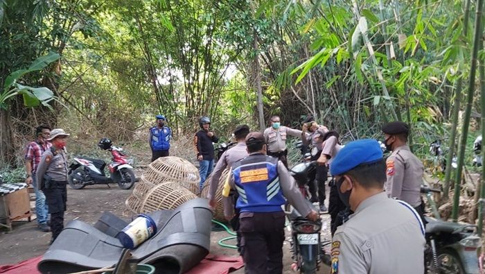 Banyak yang Kabur, Begini Keseruan Polresta Sidoarjo Gerebek Judi Sabung Ayam di Glagaharum