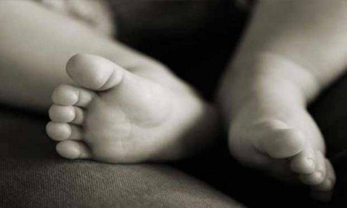 Warga Modo Lamongan Digegerkan Penemuan Orok Bayi Warga Modo Lamongan Digegerkan Penemuan Orok Bayi