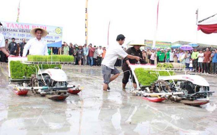 Siapkan Stok Padi, Mentan Panen Raya di Blitar